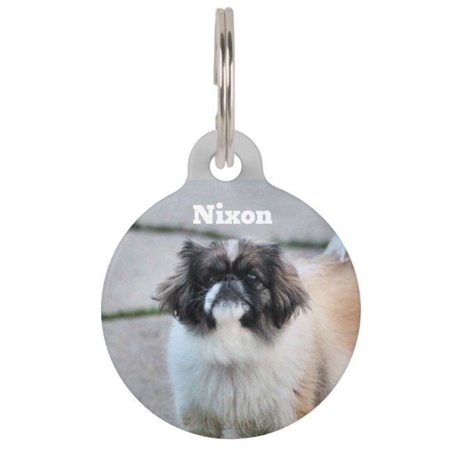 Médaillon Pour Animaux Shih Tzu (Devant)