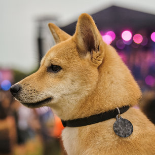 Médaillon Pour Animaux Signal d'Ashcloud