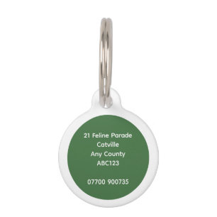 Médaillon Pour Animaux Simple Adresse Minimaliste pour Chat Vert et Blanc
