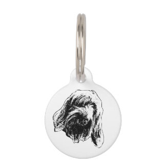 Médaillon Pour Animaux Spinone Outing Buddy