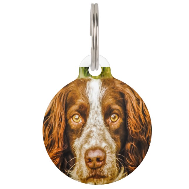 Médaillon Pour Animaux Springer Spaniel Dog. (Devant)