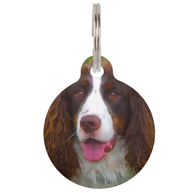 Médaillon Pour Animaux Springer Spaniel Dog. (Devant)