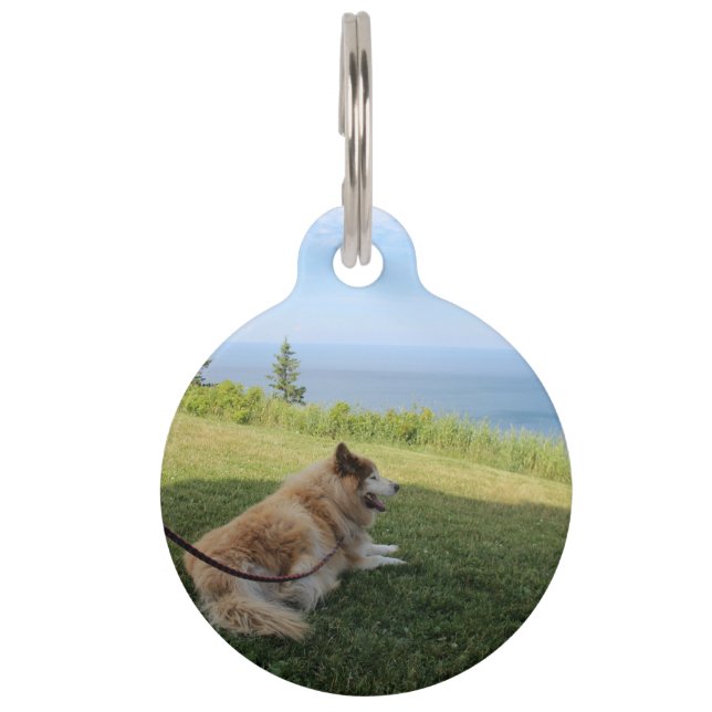 Médaillon Pour Animaux Suka Profite du Cape George Pet Tag (Devant)