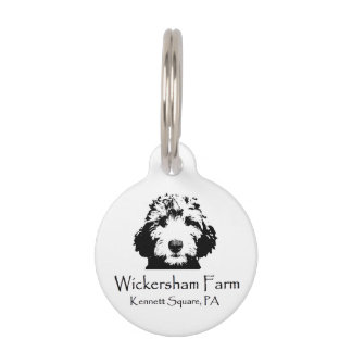 Médaillon Pour Animaux Tag d'animal de compagnie personnalisable de la fe