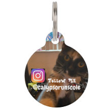 Tag de animal de compagnie de Calypso sur Ato 8-10