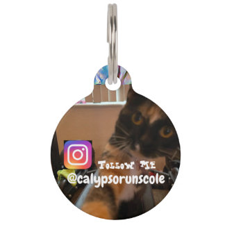 Médaillon Pour Animaux Tag de animal de compagnie de Calypso sur Ato 8-10