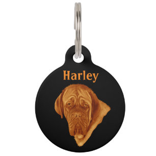 Médaillon Pour Animaux Tag de chien "Harley",