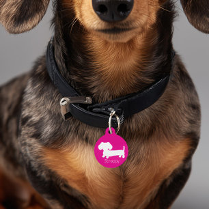 Médaillon Pour Animaux Tag de chien rose Dachshund Wiener Dog Pink ID Tur