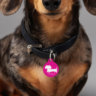 Médaillon Pour Animaux Tag de chien rose Dachshund Wiener Dog Pink ID Tur