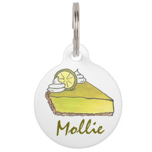 Médaillon Pour Animaux Tag de la clé de la Floride de la chaux de la tran