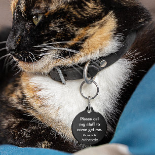 Médaillon Pour Animaux Tag noir Chat Kitten perdu Petite balise d'ID anim