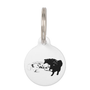 Médaillon Pour Animaux Tag Team, Accent Ludique