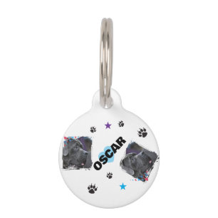 MÉDAILLON POUR ANIMAUX TENDANCE AMOUREUX D'ANIMAUX NOM MODERNE,PHOTO