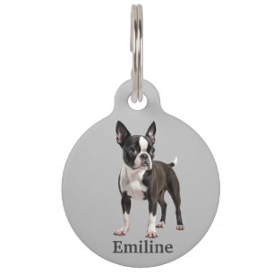 Médaillon Pour Animaux Terrier de Boston Personnalisé