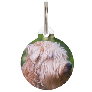 Médaillon Pour Animaux Terrier Wheaten