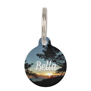 Médaillon Pour Animaux Torrey Pine Sunset III Paysage californien