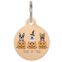 Trick Or Treat Pumpkin Bouledogues Français