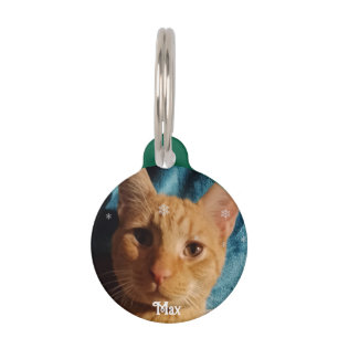 Médaillon Pour Animaux Trois Photos de Chats, Noël Personnalisé