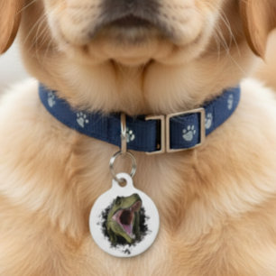 Médaillon Pour Animaux Tyrannosaurus Dinosaure Animal de Compagnie Chien 