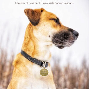 Médaillon Pour Animaux Une Lumière D'Amour