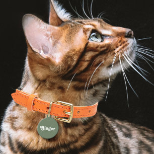 Médaillon Pour Animaux Vert sage