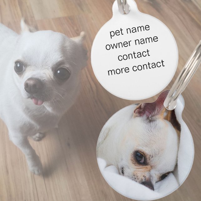 Médaillon Pour Animaux Votre chiot chien de compagnie photo personnalisée (Your pet dog puppy custom photo chihuahua pet ID tag)