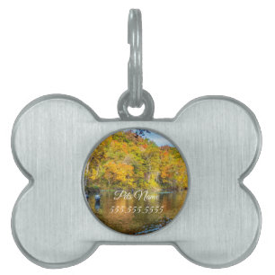 Médaillons Pour Animaux Domestiques Balise Bennett Spring Automne Fishing Pet