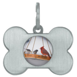 Médaillons Pour Animaux Domestiques Balise Cardinal et Juncos Pet ID