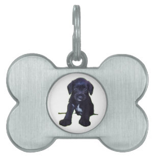 Médaillons Pour Animaux Domestiques Balise de chiot