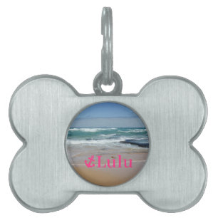 Médaillons Pour Animaux Domestiques Balise de nom de l'animal de compagnie Silver Bone