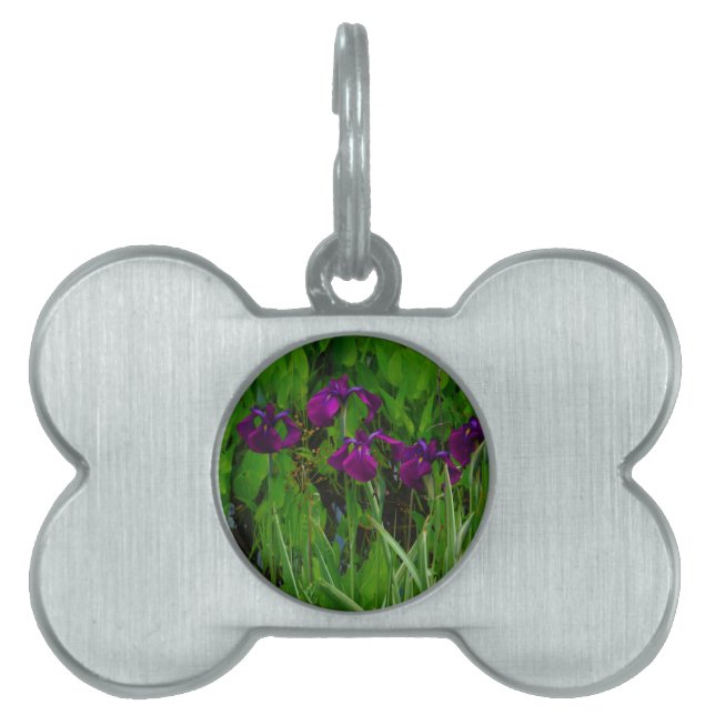 Médaillons Pour Animaux Domestiques Belle Iris Violet (Devant)