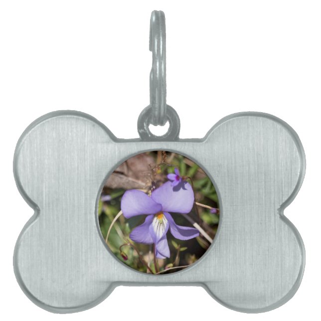 Médaillons Pour Animaux Domestiques Birds-Foot Violet w/ Bluets (Devant)