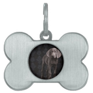 Médaillons Pour Animaux Domestiques Bleu le chiot Weimaraner