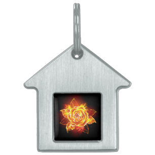 Médaillons Pour Animaux Domestiques Blooming Fire Rose