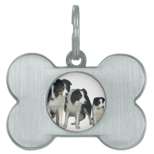 Médaillons Pour Animaux Domestiques Border Collie Dogs (Devant)