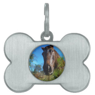 Médaillons Pour Animaux Domestiques Brown et crème Couleur Cheval bleu ciel