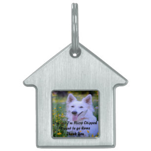 Médaillons Pour Animaux Domestiques Chien berger suisse blanc.