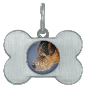 Médaillons Pour Animaux Domestiques Chien Bone Pet Tags
