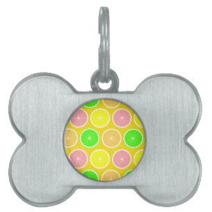 Médaillons Pour Animaux Domestiques Citrus