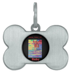 Médaillons Pour Animaux Domestiques Customiser canine sur le animal de plage