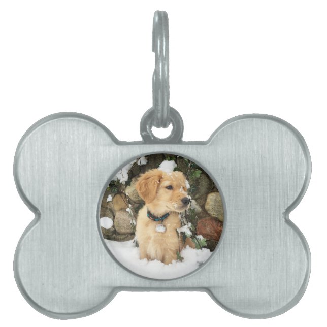 Médaillons Pour Animaux Domestiques Cute Puppy jaune laboratoire golden extracteur (Devant)