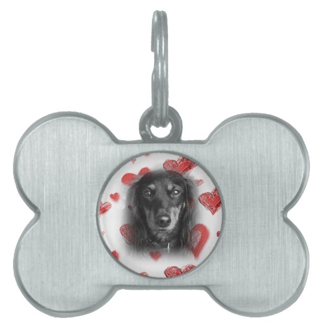 Médaillons Pour Animaux Domestiques Dachshund aux Coeurs rouges (Devant)