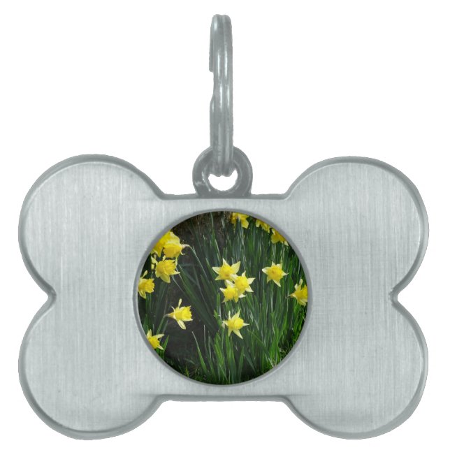 Médaillons Pour Animaux Domestiques Daffodiques de printemps (Devant)