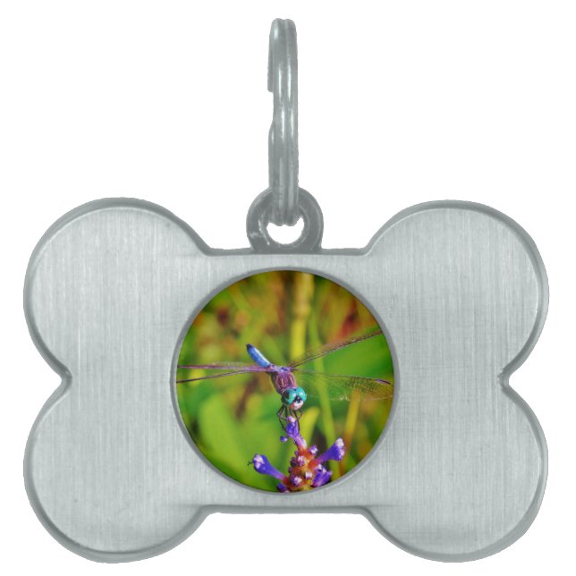 Médaillons Pour Animaux Domestiques Dragonfly (Devant)