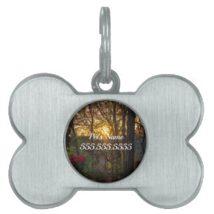 Médaillons Pour Animaux Domestiques Étiquette d'identification de chien Sdc Woods Suns
