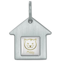 Faux Gold Chat Face - Couleur arrière - plan perso