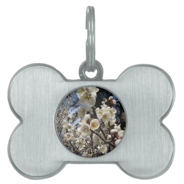 Médaillons Pour Animaux Domestiques Fleur de cerisier blanc / Sakura / ク(桜) (Devant)