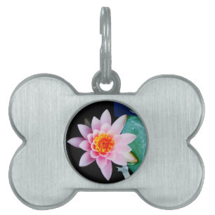 Médaillons Pour Animaux Domestiques Fleur de laine d'eau chaude rose et orange de lotu