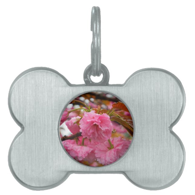 Médaillons Pour Animaux Domestiques Fleurs de fleurs de cerisier rose chaud (Devant)
