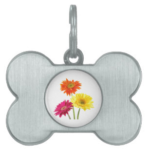 Médaillons Pour Animaux Domestiques Gerbera Daisies